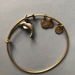 Dolphin Alex and Ani Bracelet